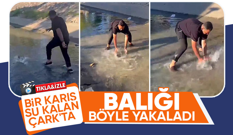 Çark Deresi'nde eliyle balık yakaladı