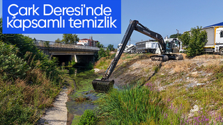 Çark Deresi'nde temizlik