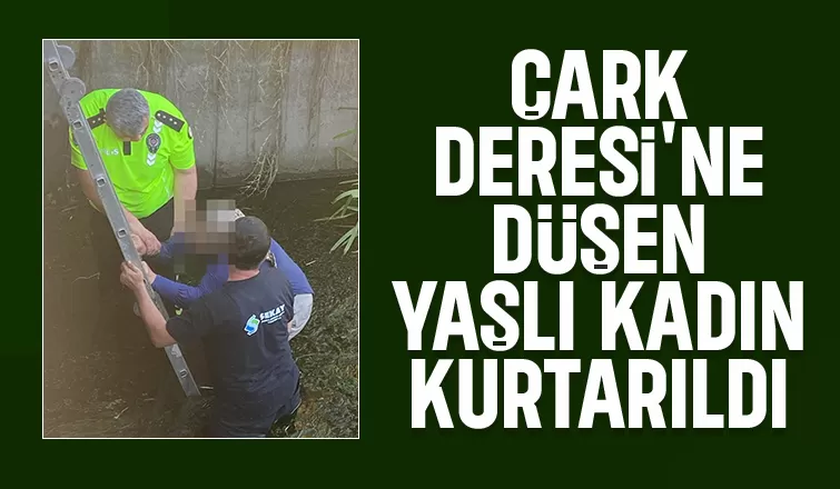 Çark Deresi'ne düştü