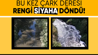 Çark Deresi'nin rengi siyaha döndü