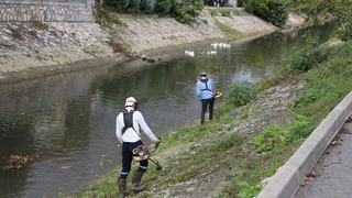 Çark Deresi’nde hummalı çalışma