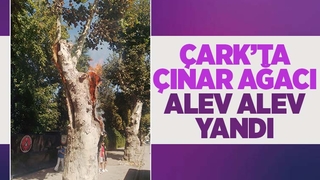 Çark'ta hareketli dakikalar alev aldı