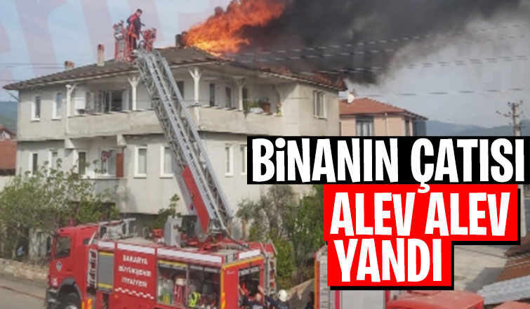 Çatı alevlere teslim oldu