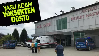 Çatı aralığına düştü