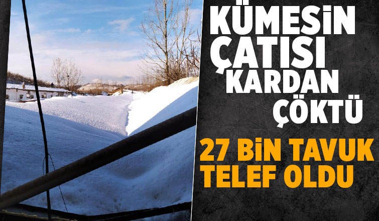 Çatı kardan çöktü, 27 bin tavuk telef oldu
