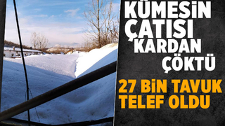 Çatı kardan çöktü, 27 bin tavuk telef oldu