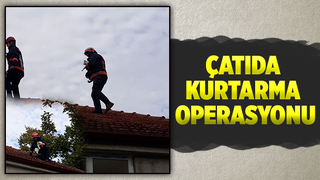 Çatıda mahsur kaldı