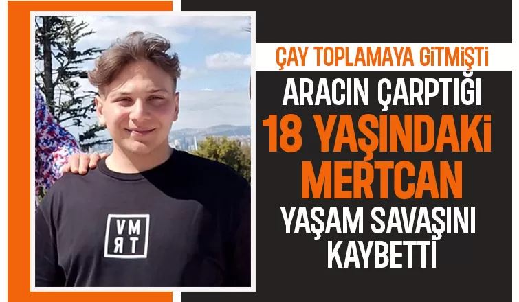 Çay toplamaya gitmişti, kazada hayatını kaybetti