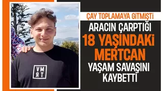 Çay toplamaya gitmişti, kazada hayatını kaybetti