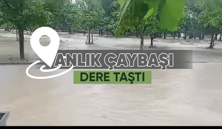 Çaybaşı'nda dere taştı