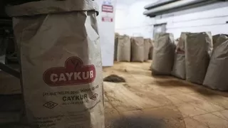 Çaykur'dan 504 milyon liralık zarar