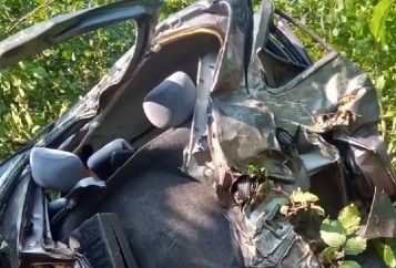 Cesedini fındık toplamaya gelenler buldu