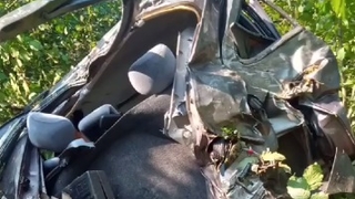 Cesedini fındık toplamaya gelenler buldu