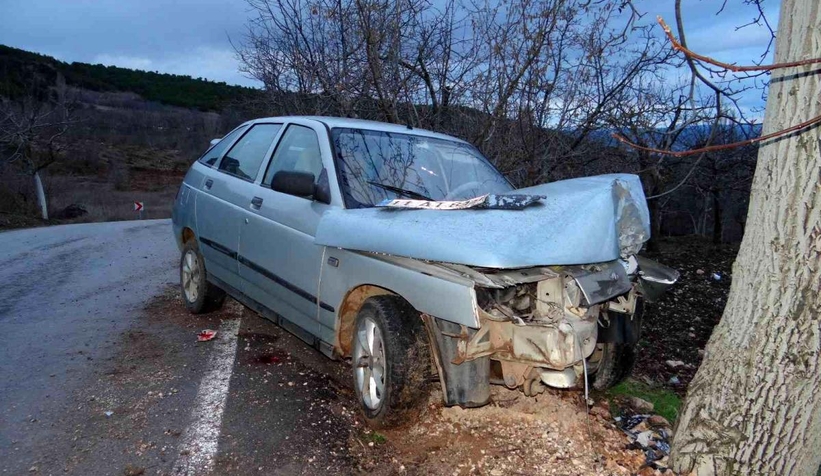Ceviz ağacına çarptı ağır yaralandı