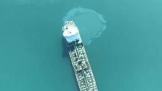 Çevre felaketi havadan görüntülendi