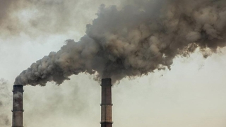 Çevre katillerine 15 milyon 373 bin lira ceza