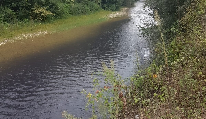 Çevre katillerini kim durduracak