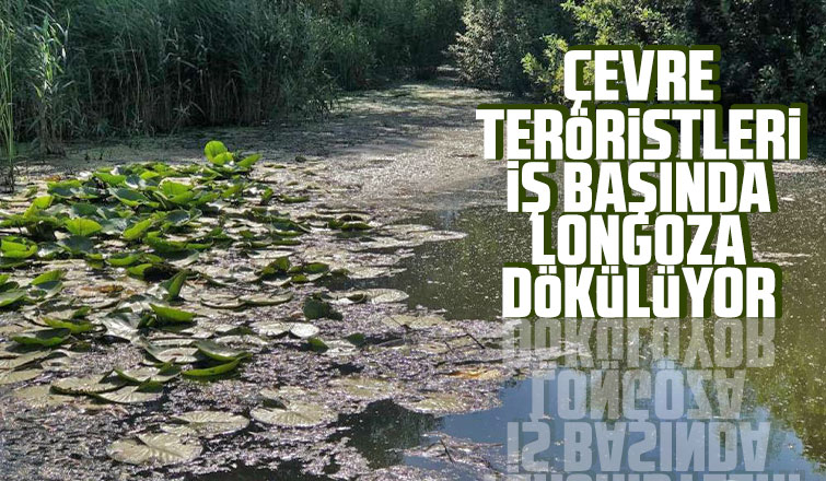 Çevre teröristleri iş başında