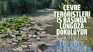 Çevre teröristleri iş başında