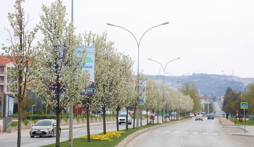 Çiçek açan ağaçlar görsel şölen sunuyor