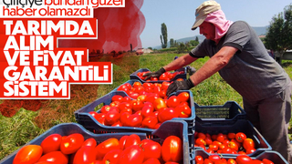 Çiftçilere müjde: Alım ve fiyat garantili sistem yolda