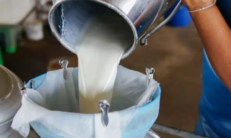 Çiğ süt prim desteği artırıldı