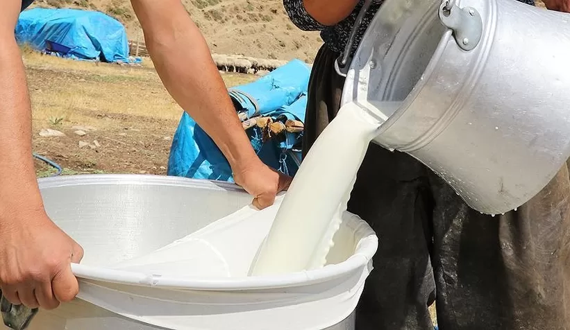 Çiğ süt tavsiye fiyatını açıkladı