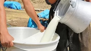 Çiğ süt tavsiye fiyatını açıkladı
