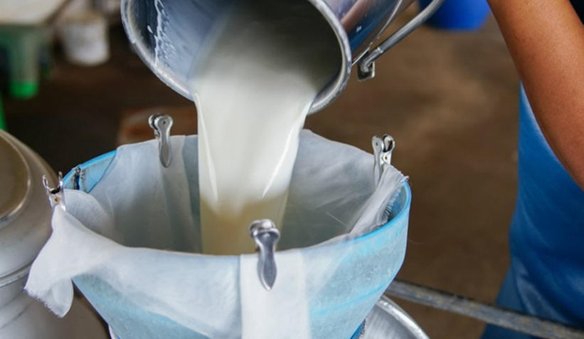 Çiğ süt üretimi azaldı