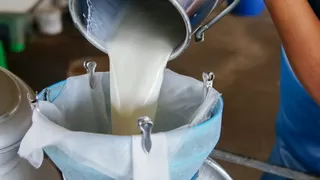 Çiğ süt üretimi azaldı