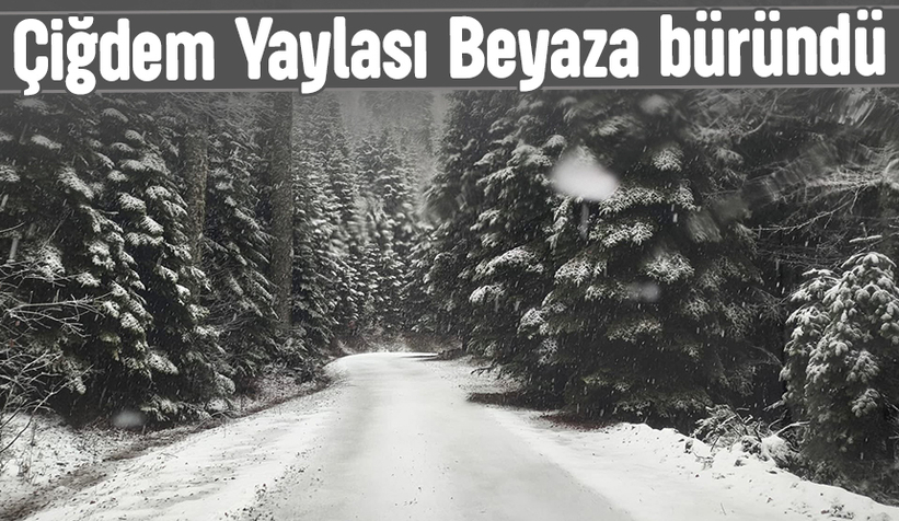 Çiğdem Yaylası'ndan kar manzarası