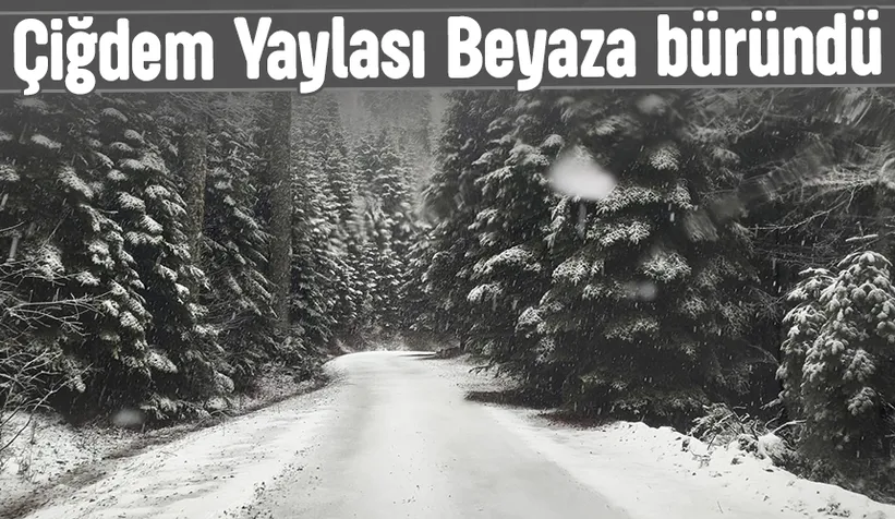 Çiğdem Yaylası'ndan kar manzarası
