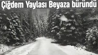 Çiğdem Yaylası'ndan kar manzarası