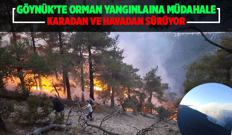 Ciğerlerimiz yanıyor