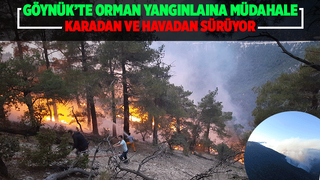 Ciğerlerimiz yanıyor