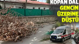 Çınar ağacının kopan dalı gencin üzerine düştü