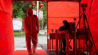 Çin’de yeni salgın: Afrika Domuz Vebası