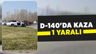 Cip trafik levhasına çarptı