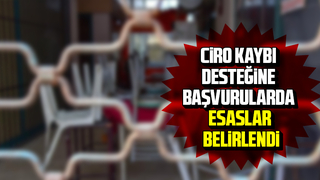 Ciro kaybı desteğine başvurularda esaslar belirlendi