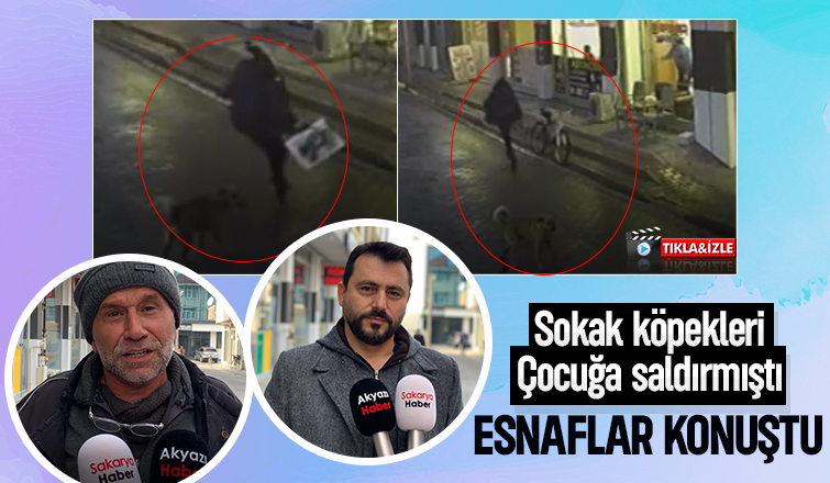 Çocuğa köpekler saldırmıştı; Esnaflar yaşananları anlattı