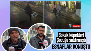 Çocuğa köpekler saldırmıştı; Esnaflar yaşananları anlattı