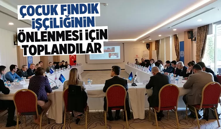 Çocuk işçiliğinin önlenmesi çalışmaları fındık sezonu öncesinde başladı