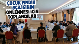 Çocuk işçiliğinin önlenmesi çalışmaları fındık sezonu öncesinde başladı