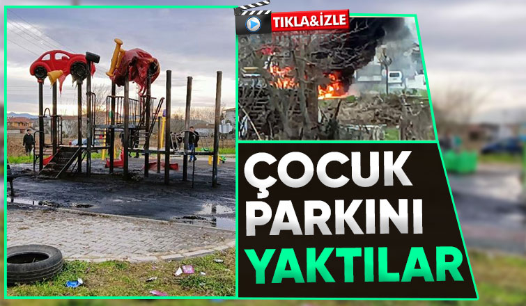 Çocuk parkı alev alev yandı