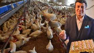 Coşkun Sabah yumurta işinde dolandırıldı