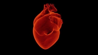 Covid-19 geçiren hastalar kalp kası tutulumu riskiyle karşı karşıya