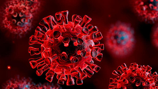 Covid-19 ile ilgili müthiş buluş