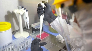 Covid-19'un genetik kodunda 