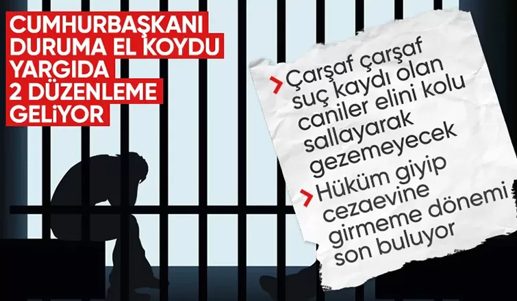Cumhurbaşkanı Erdoğan: 6 yıldan az ceza alanların hiç cezaevine girmemesinin önüne geçeceğiz