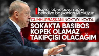 Cumhurbaşkanı Erdoğan başıboş köpek sorunuyla ilgili konuştu: Güvenli sokaklar için ne gerekiyorsa yapacağız